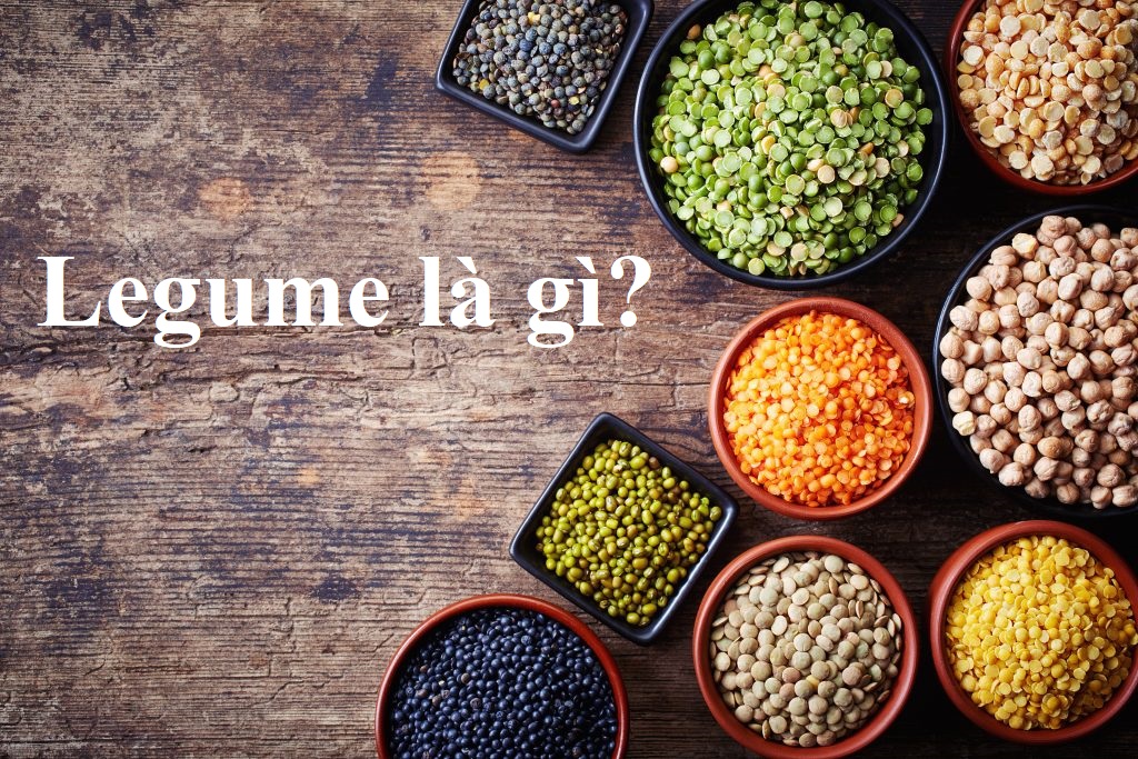 legume là gì