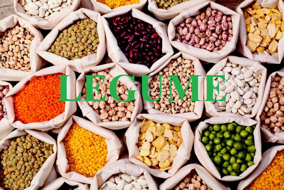 legume là gì