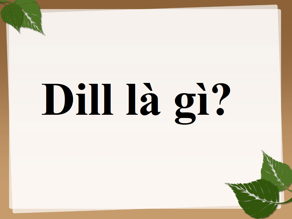 dill là gì