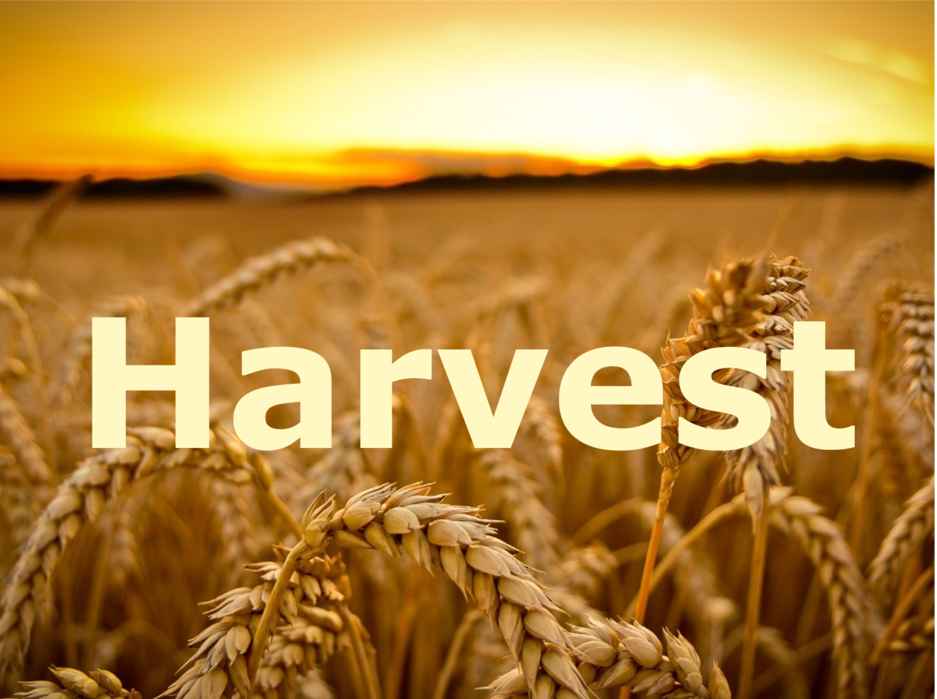 harvest là gì
