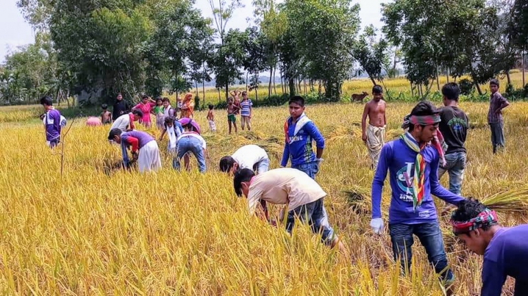 harvest là gì