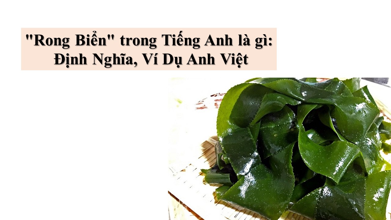 rong biển tiếng anh là gì