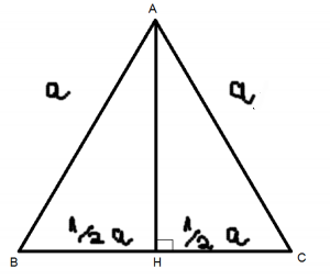 tam giác đều tiếng anh là gì