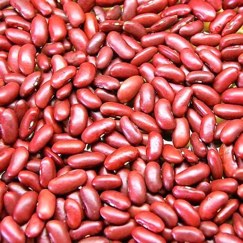 kidney beans là gì