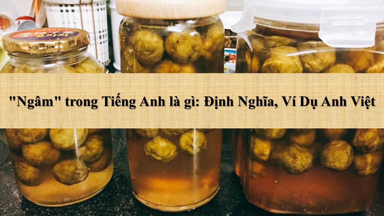 ngâm tiếng anh là gì