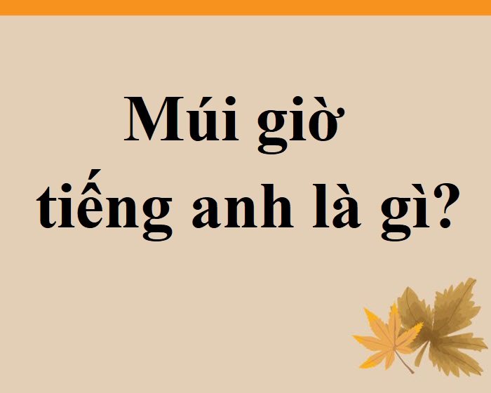 múi giờ tiếng anh là gì