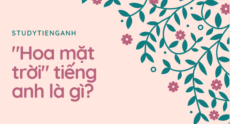 hoa mặt trời tiếng anh là gì