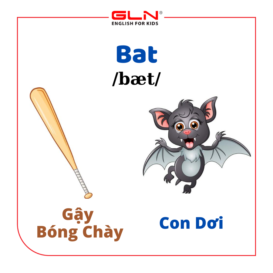 con dơi tiếng anh là gì