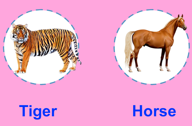 con ngựa tiếng anh là gì
