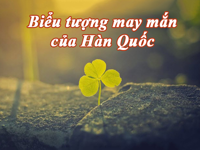 biểu tượng may mắn của hàn quốc