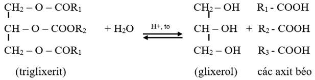 chất béo là trieste của axit béo với