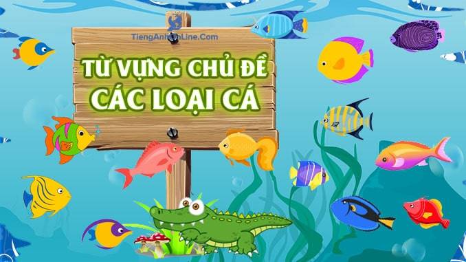 cá hồi tiếng anh