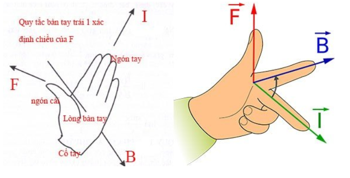 quy tắc bàn tay trái