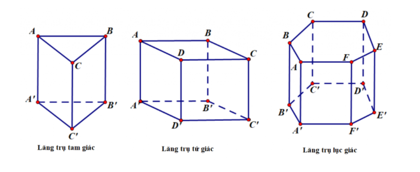 các loại hình học cơ bản