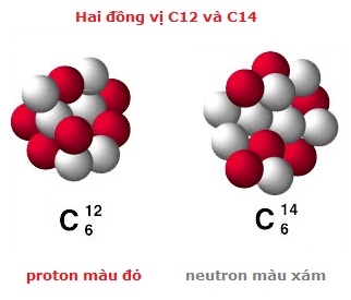 đồng vị là gì