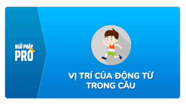 động từ là gì