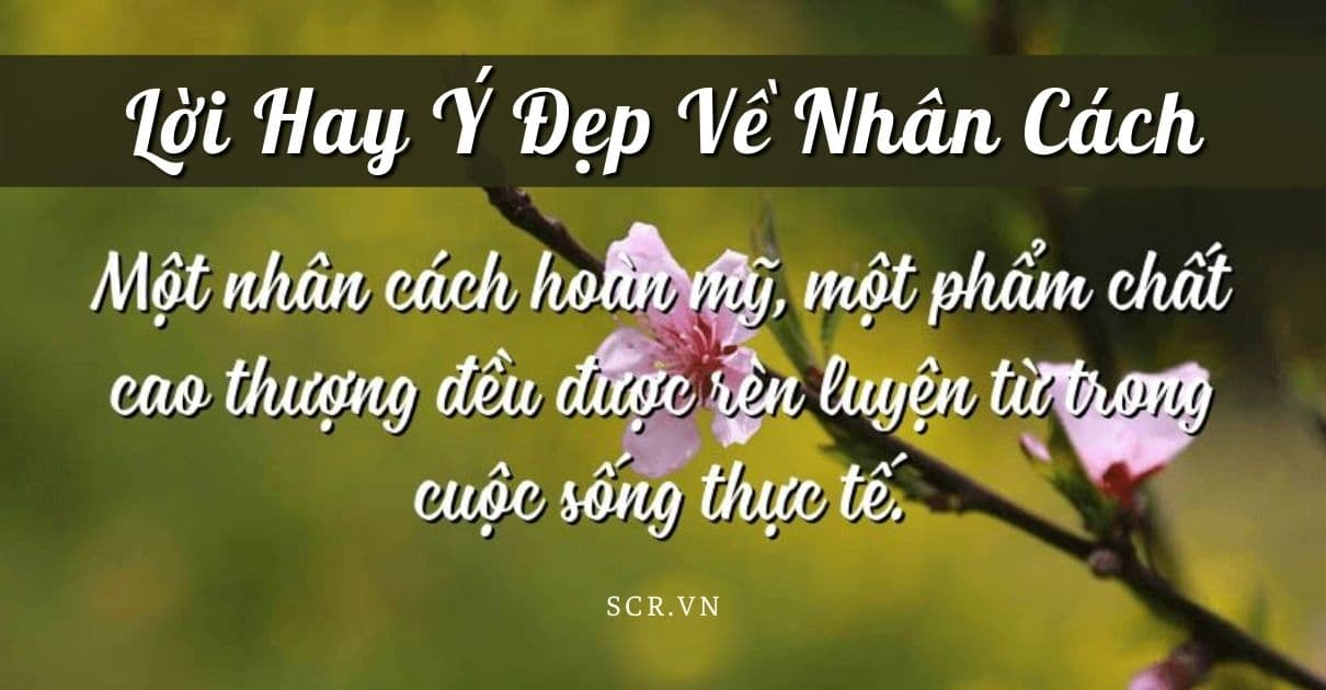 lời hay ý đẹp