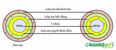 keo đất là gì