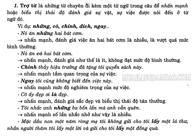 trợ từ