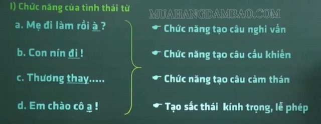 tình thái từ là gì