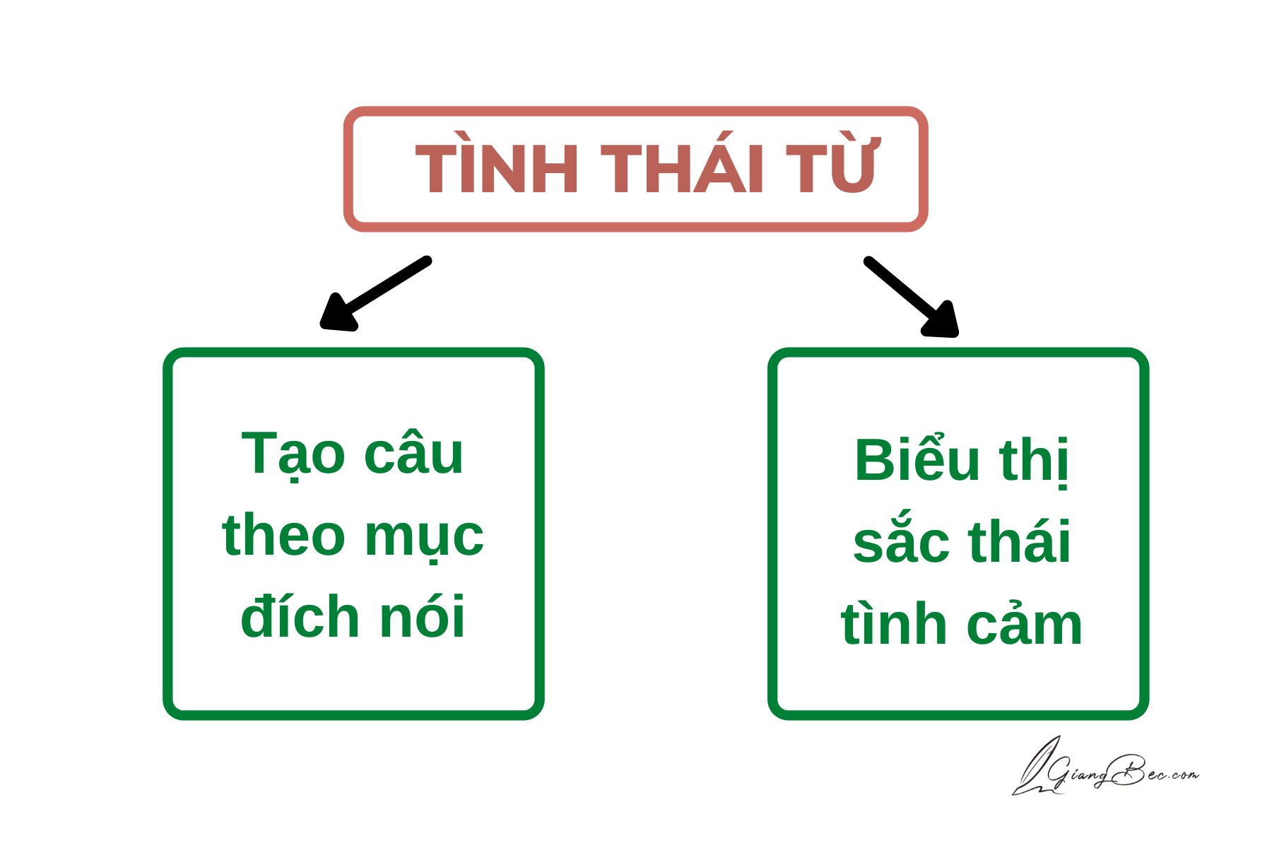 tình thái từ là gì