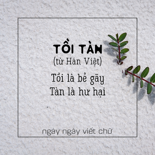 từ hán việt là gì