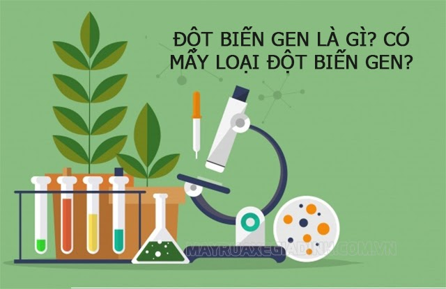 đột biến gen là gì