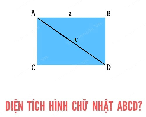 diện tích hình chữ nhật