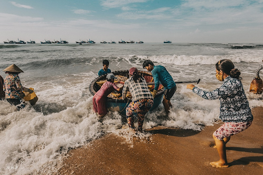 hoàn cảnh sáng tác bài quê hương