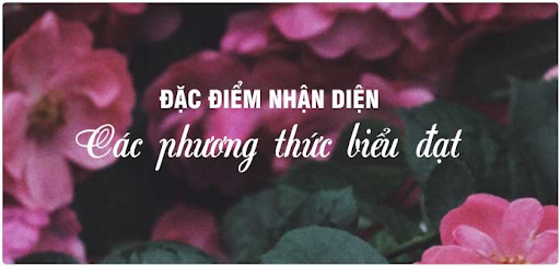 các phương thức biểu đạt