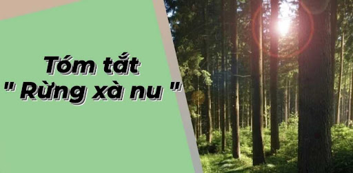 tóm tắt rừng xà nu