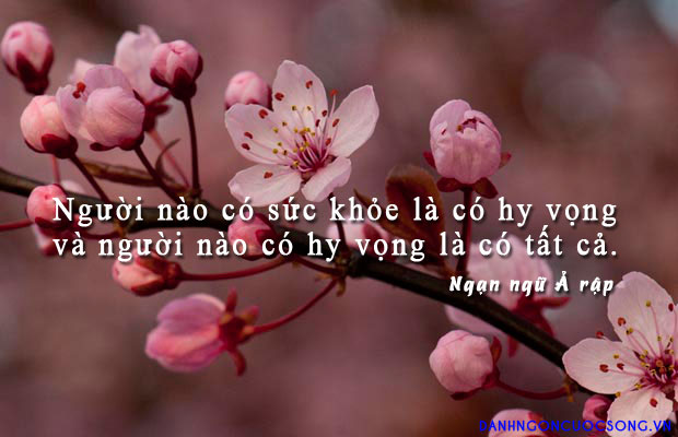 những câu nói hay về sức khỏe