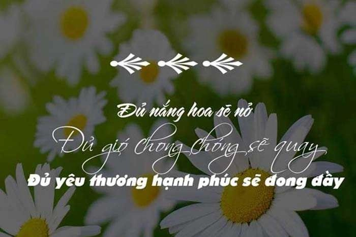 những câu nói hay về sức khỏe