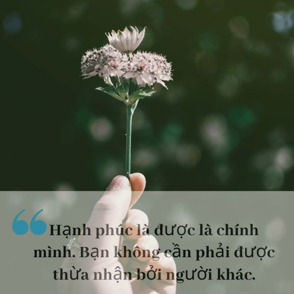 những câu nói hay về sức khỏe