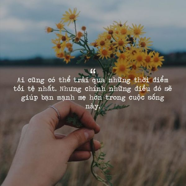 những caption hay về cuộc sống