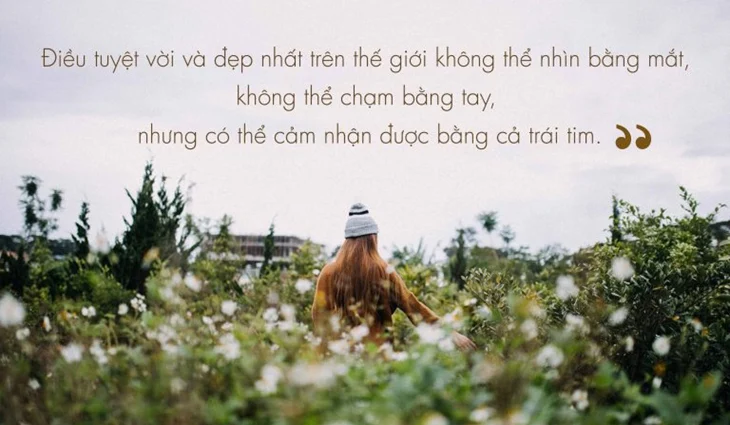 stt cuộc sống an nhiên