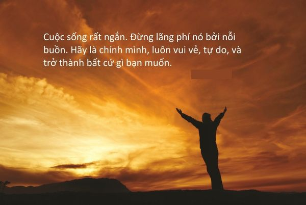 bài viết hay về cuộc sống