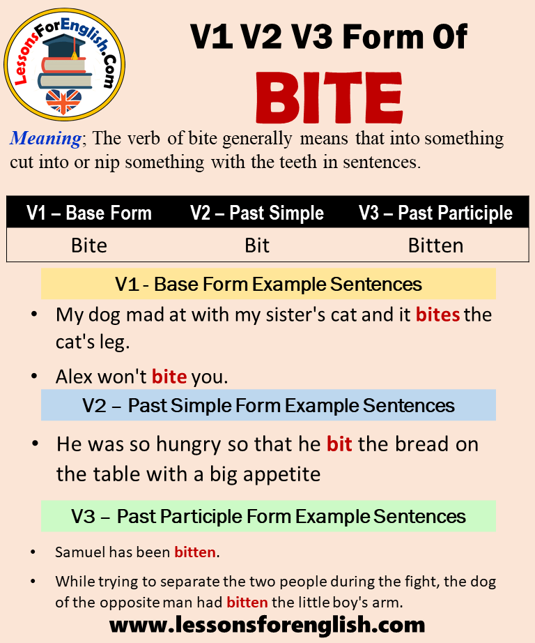 Перевести bites. Bite past participle. Bite в паст Симпл. Bite past Tense. Глагол bite.