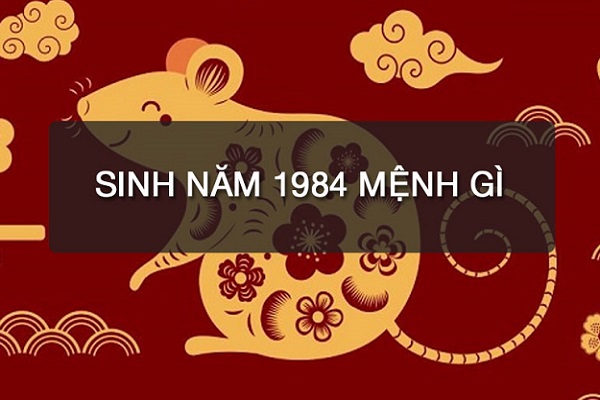 1984 mệnh gì