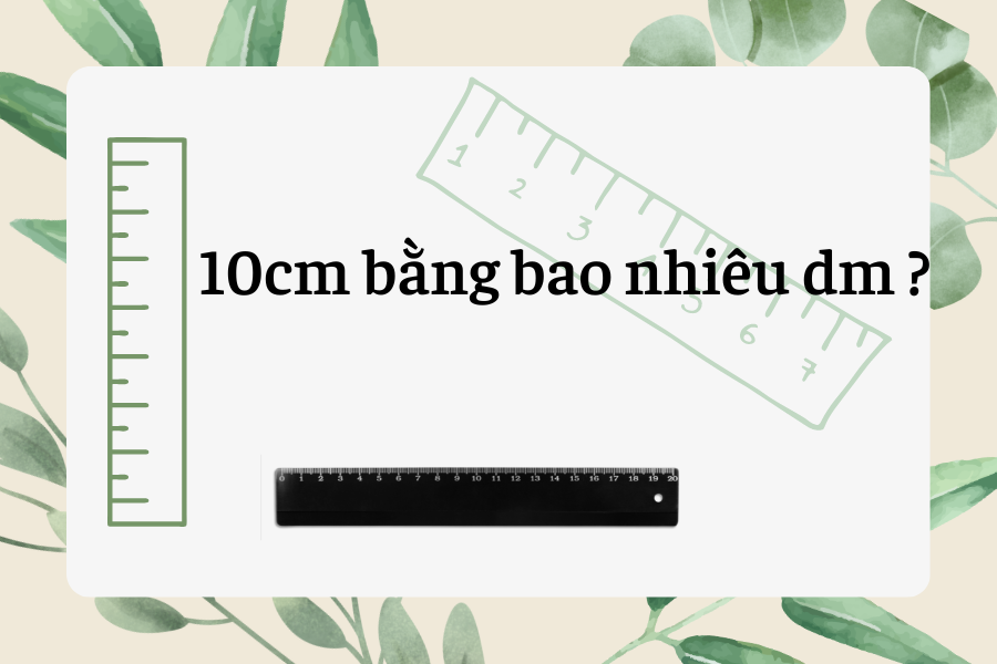 10cm bằng bao nhiêu m