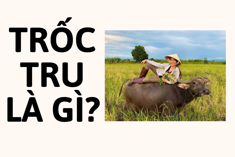 trốc tru là gì