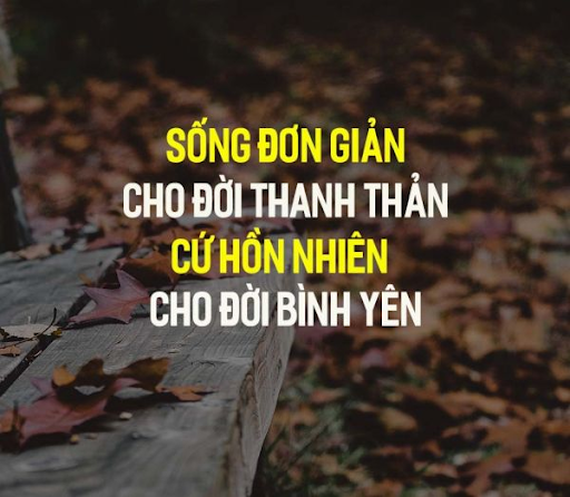 10 câu nói hay trong cuộc sống