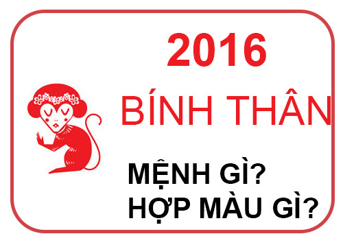 2016 mệnh gì