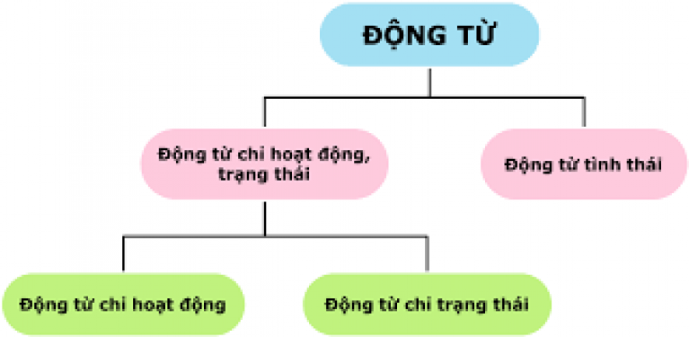 Động từ là gì