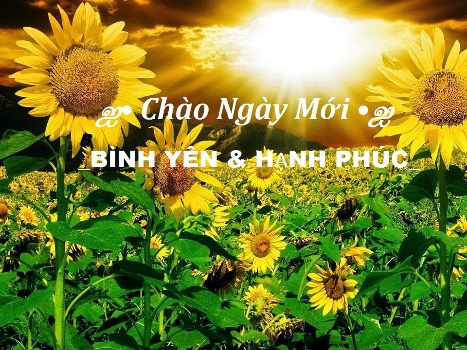 chúc buổi sáng