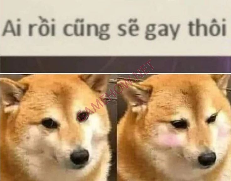 sẽ gầy meme