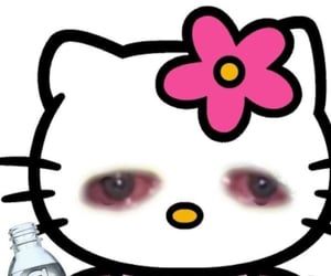 meme đội quần hello kitty