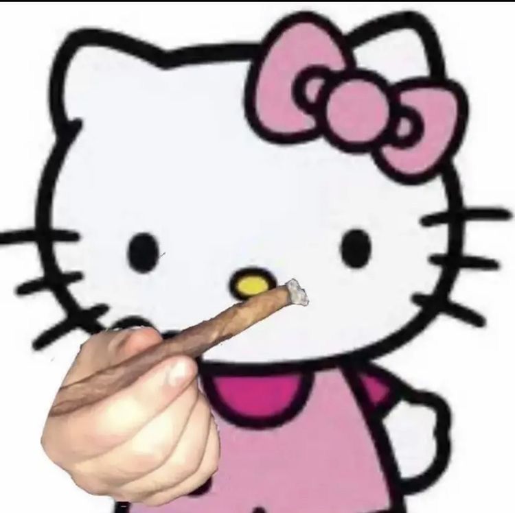 meme đội quần hello kitty