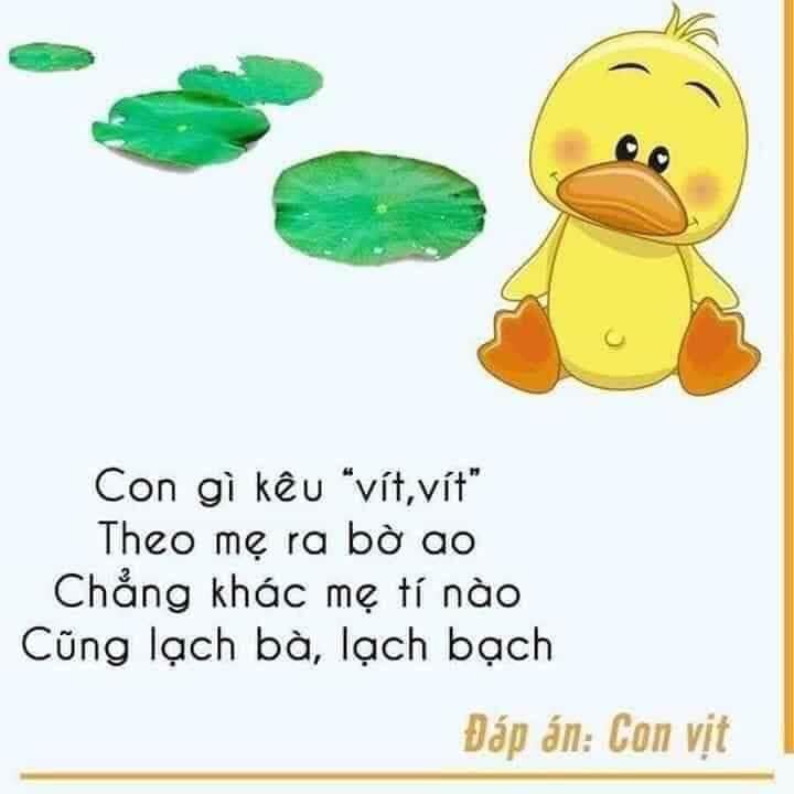 con gì có cánh mà không biết bay