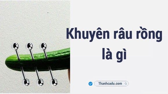 khuyên râu rồng là gì